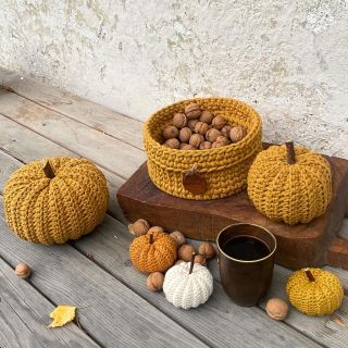 Dýně 🎃 + muchomůrky 🍄 = podzim 🍂 #podzimnicas #podzimninalada #hackovanadyne #dýně #podzimnidekorace #muchomurka...